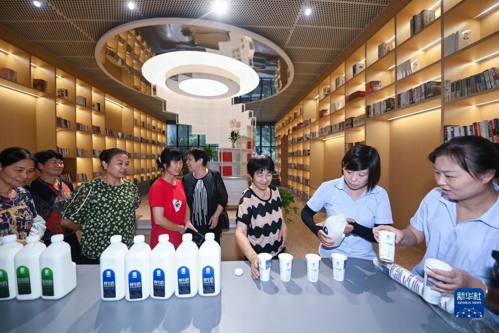 永利集体304网站